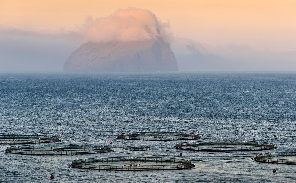 Росрыболовство предложило запретить импорт рыбы с Фарерских островов
