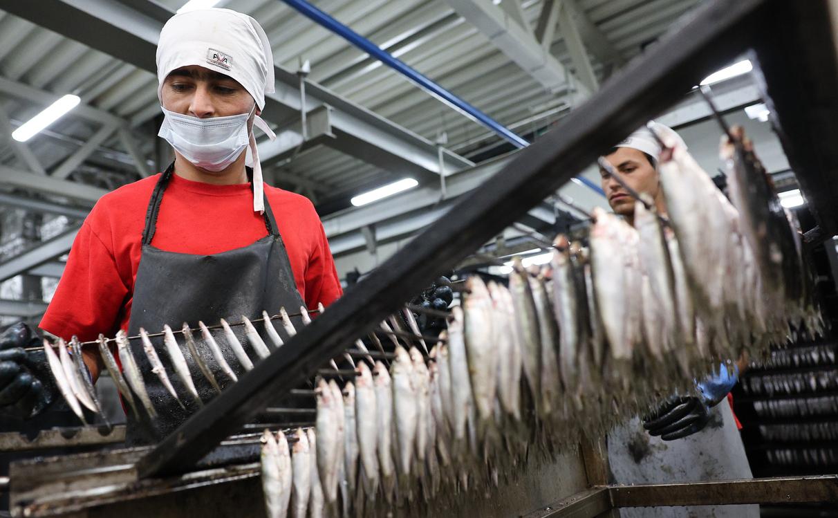 В Калининграде заявили о приостановке рыбного экспорта из-за новых пошлин
