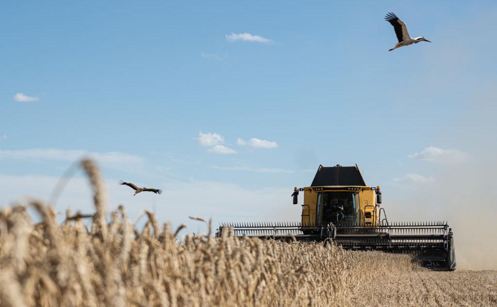Правительству предложили запретить экспорт зерновых из России